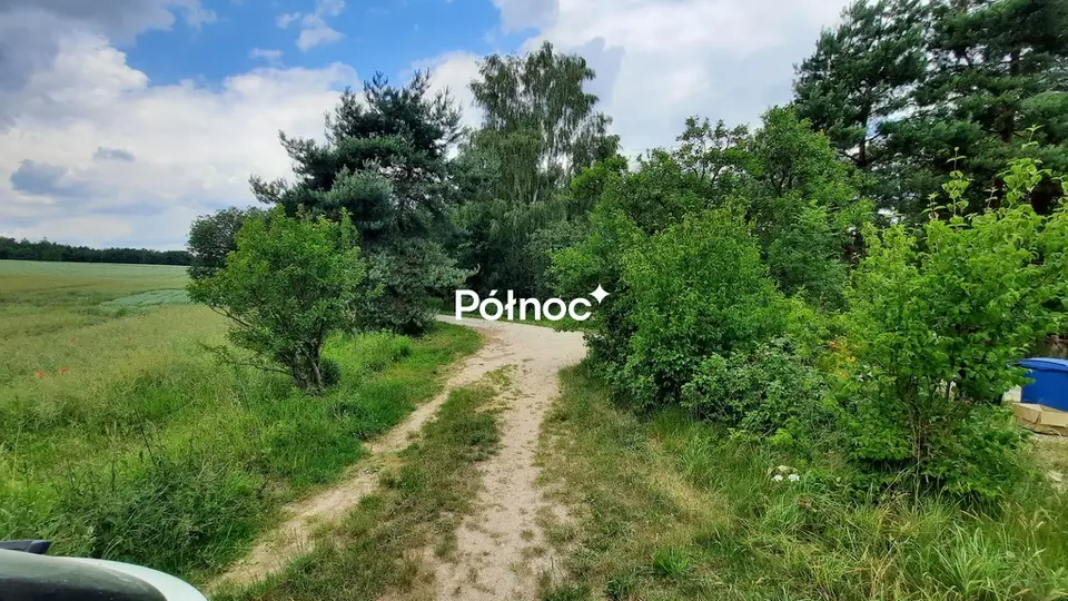 Zdjęcie 7