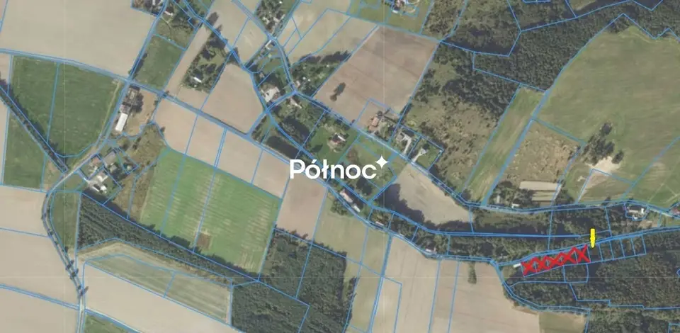 Zdjęcie 8