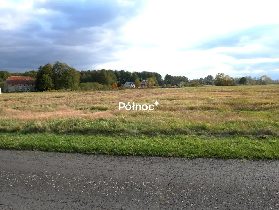 Zdjęcie 4