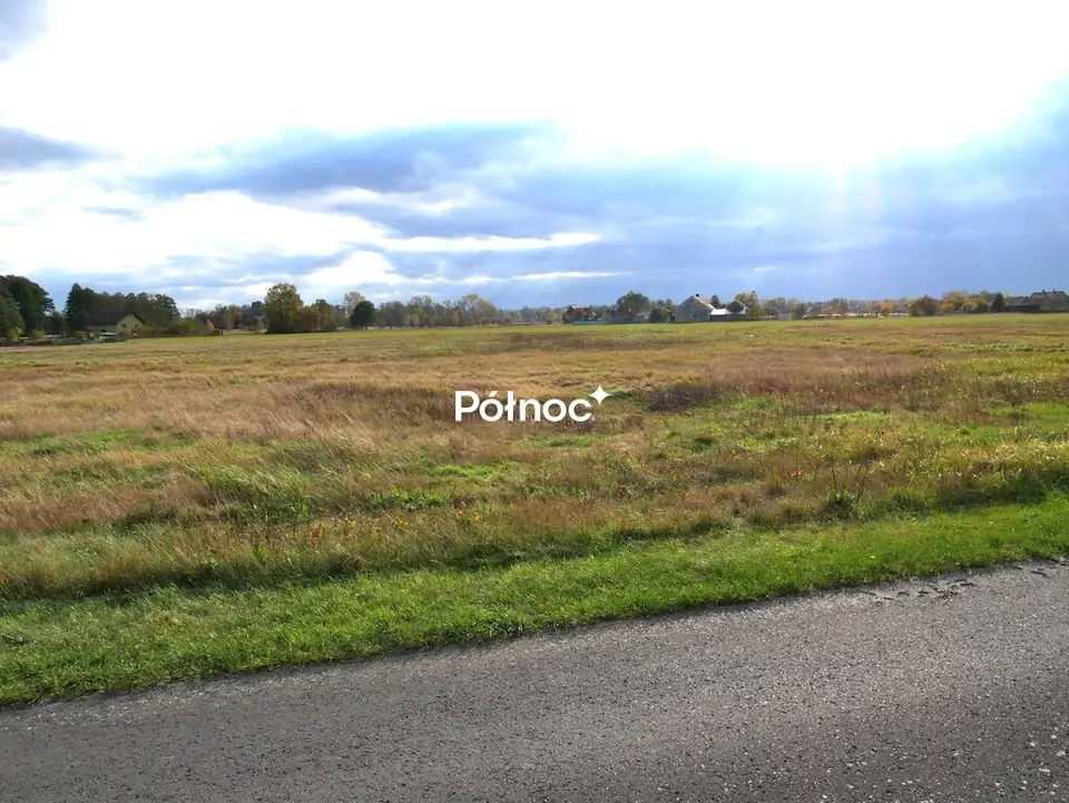 Zdjęcie 6