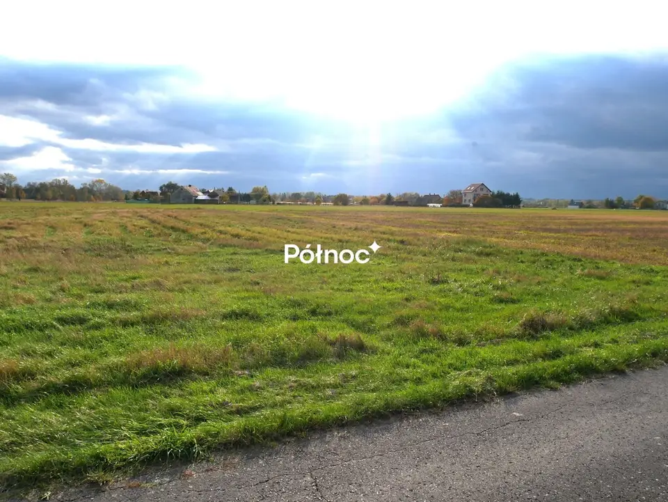 Zdjęcie 7