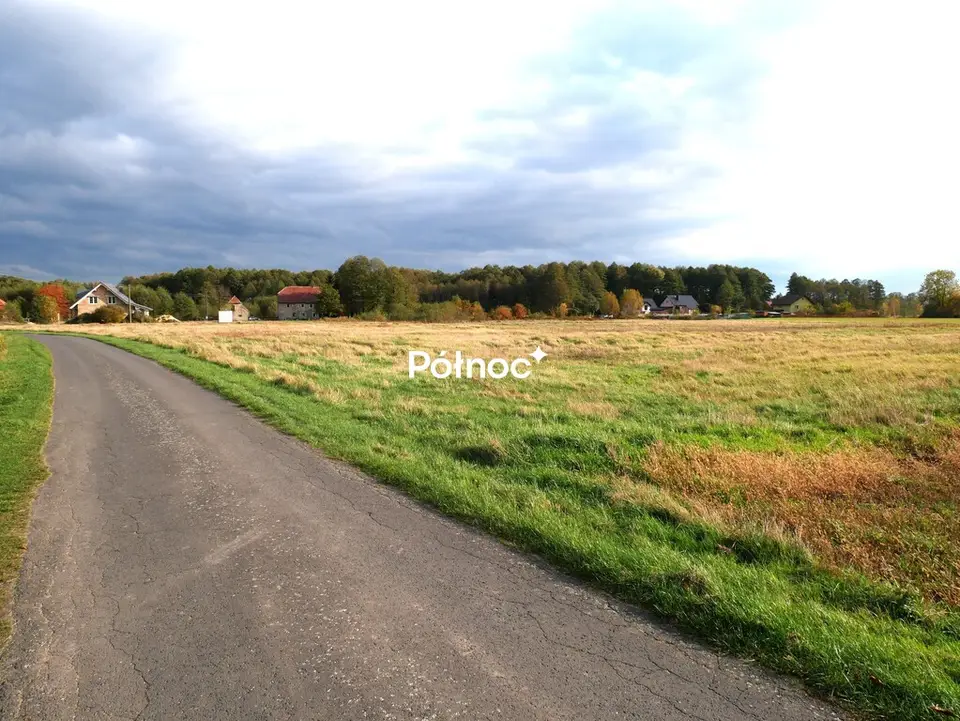 Zdjęcie 8