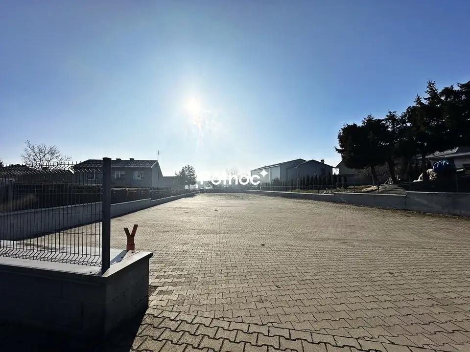 Zdjęcie 3
