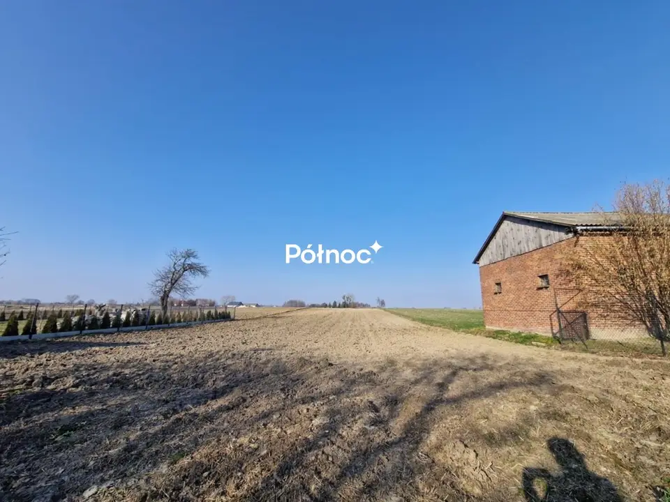 Zdjęcie 6