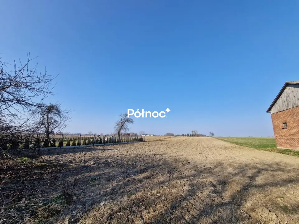 Zdjęcie 7