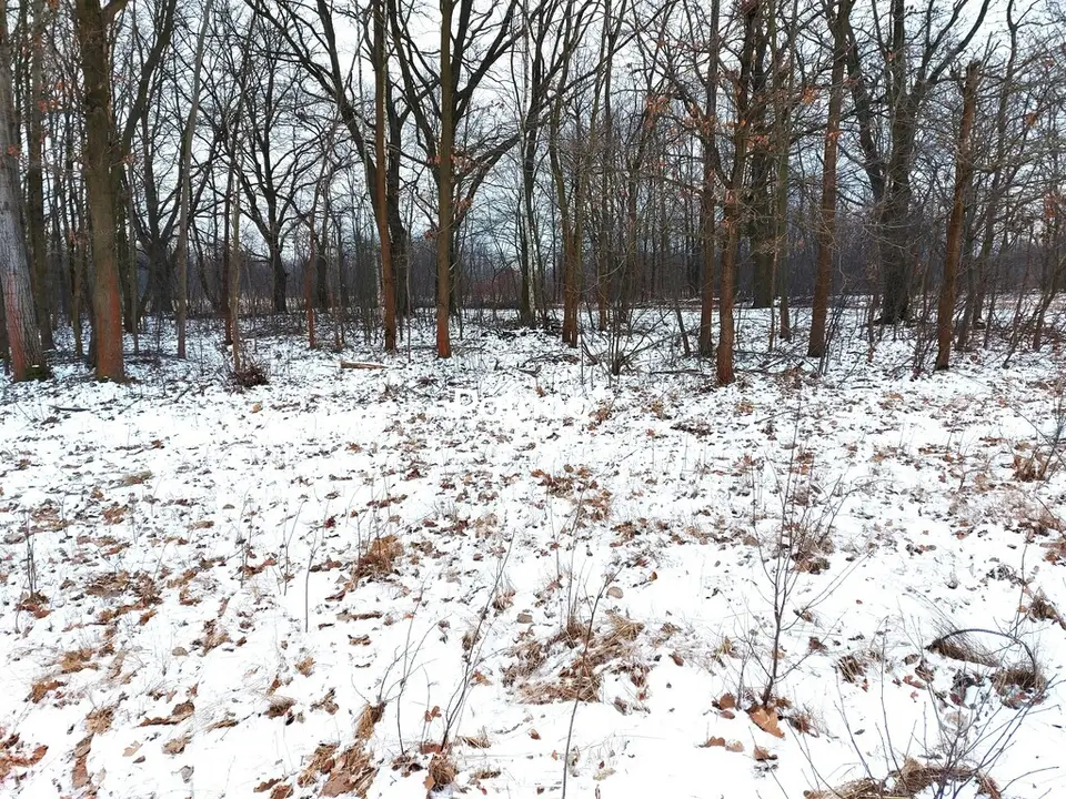 Działka budowlana 6 307 m², Milanówek