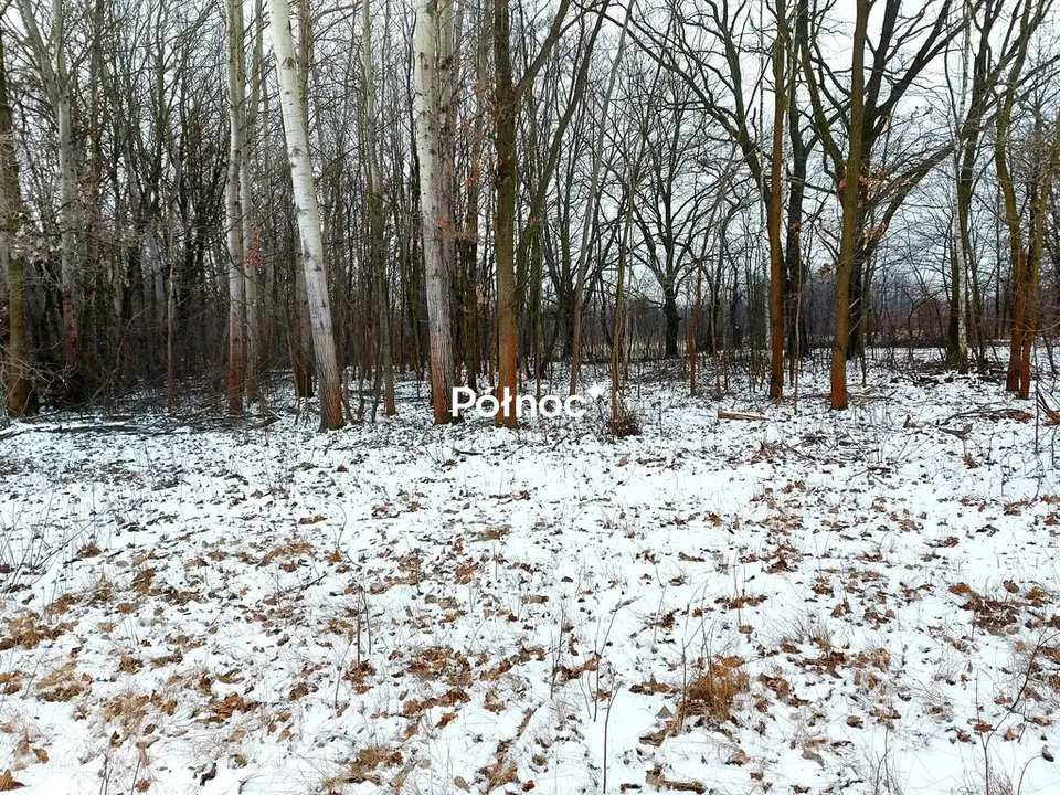 Zdjęcie 2