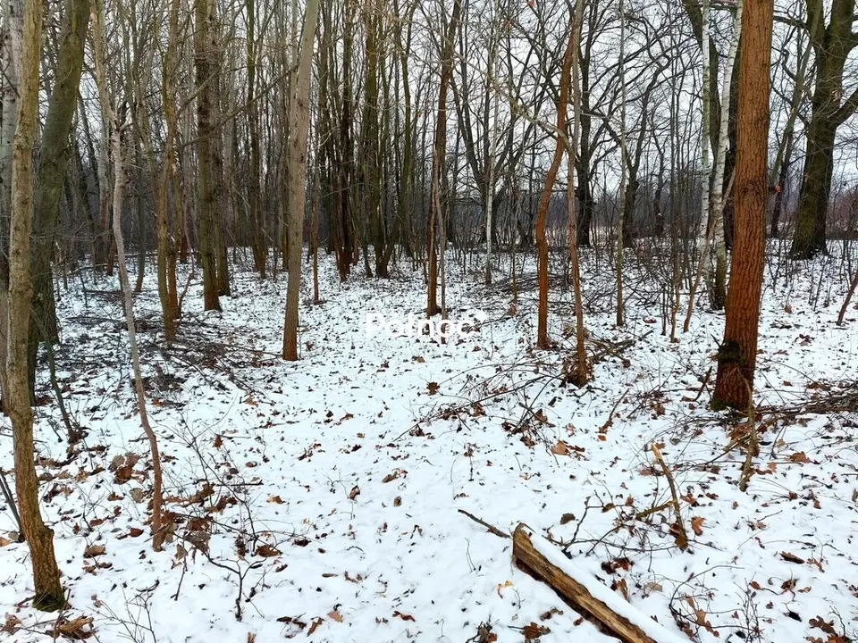 Zdjęcie 3