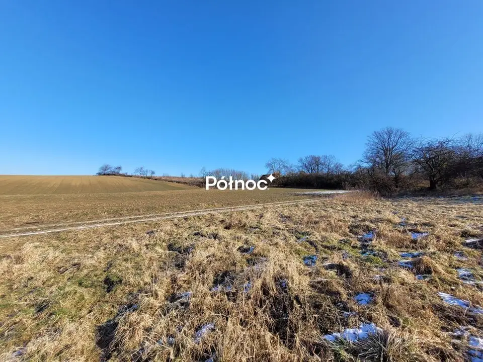 Zdjęcie 4