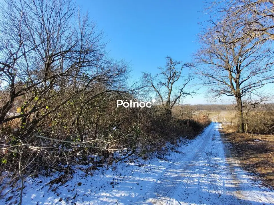 Zdjęcie 5