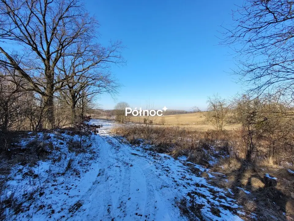 Zdjęcie 11