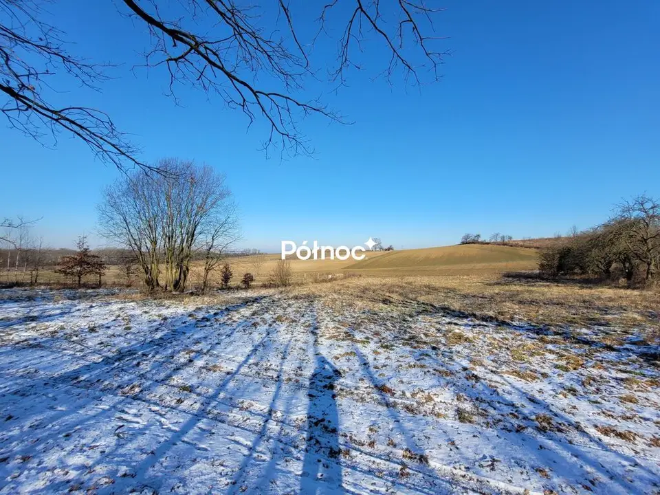Zdjęcie 12