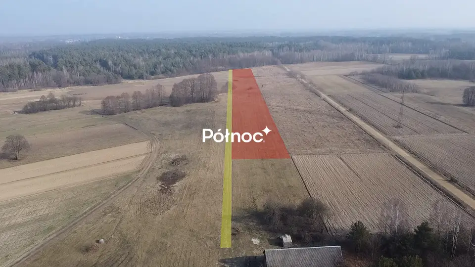 Zdjęcie 3