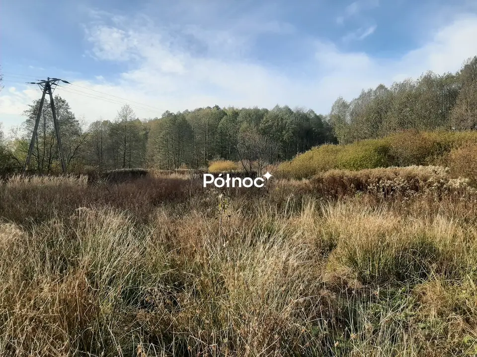 Zdjęcie 3