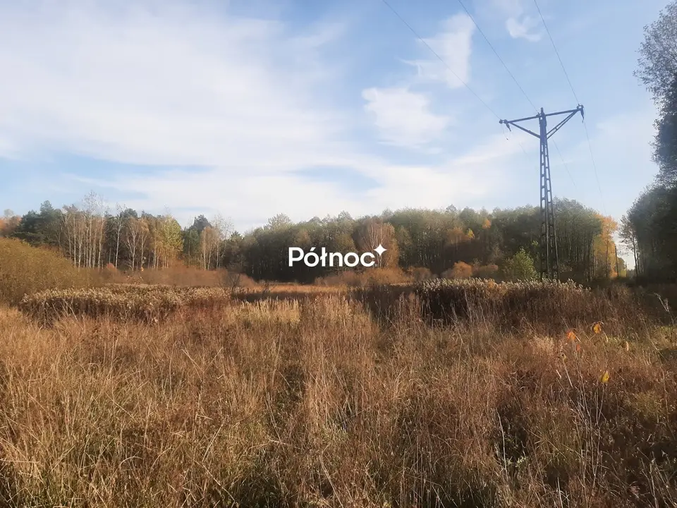Zdjęcie 4