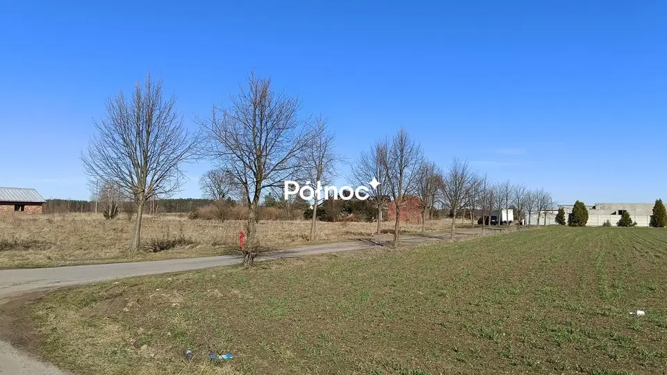 Zdjęcie 7