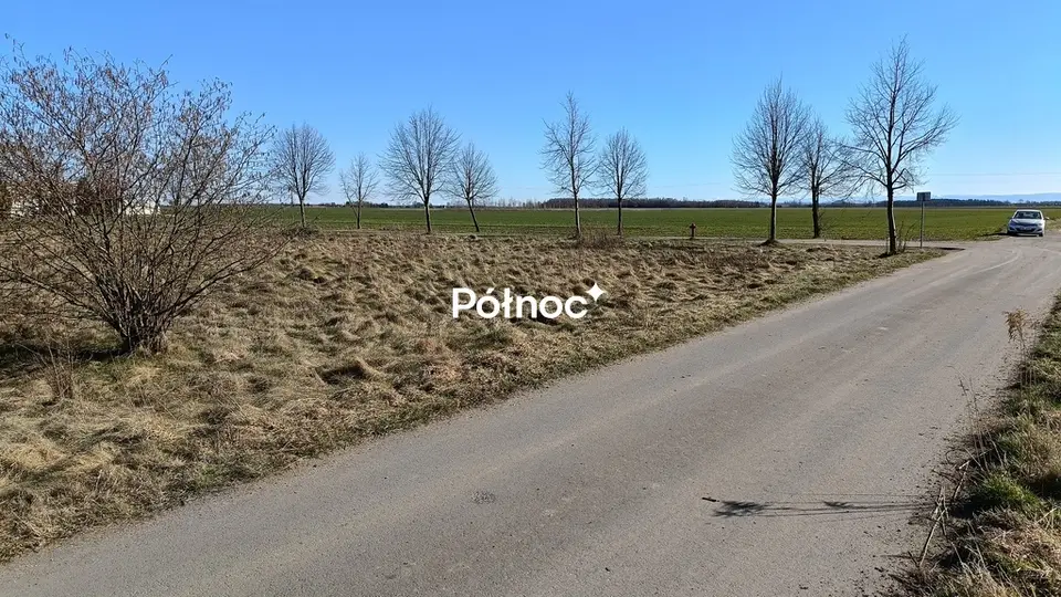 Zdjęcie 8