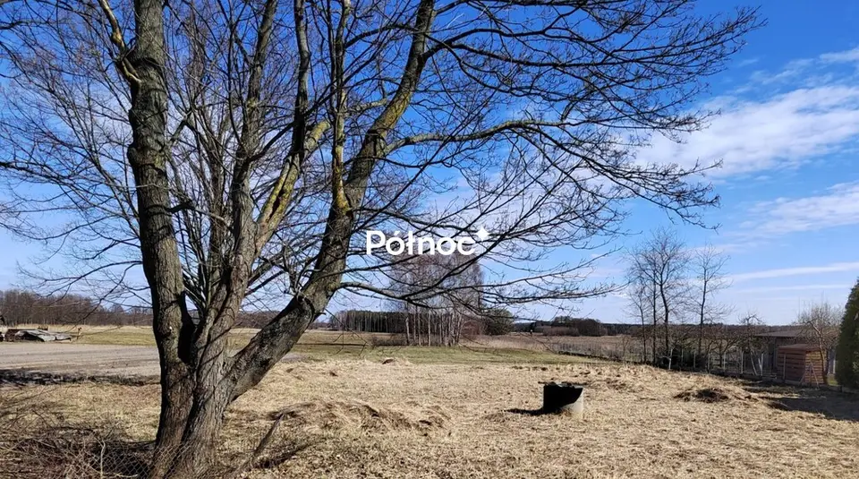 Zdjęcie 2
