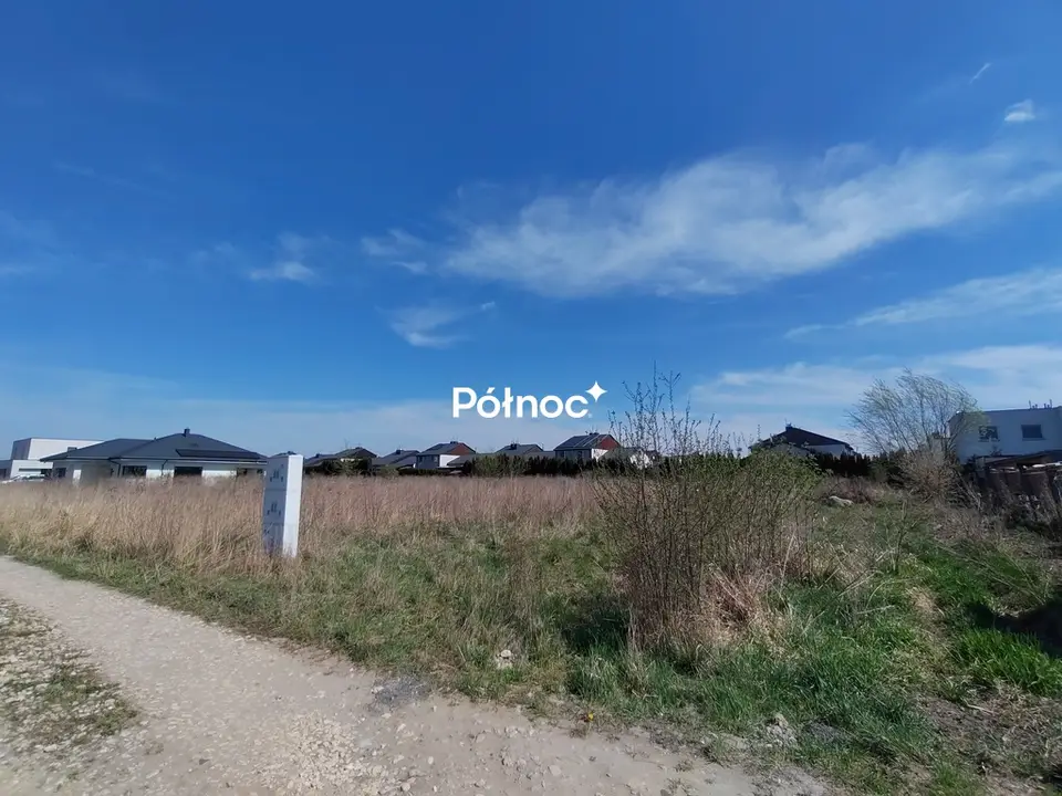 Zdjęcie 2