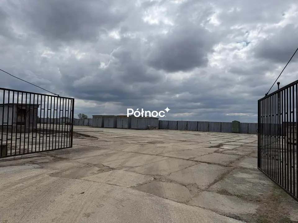 Zdjęcie 5