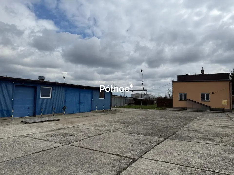 Zdjęcie 7