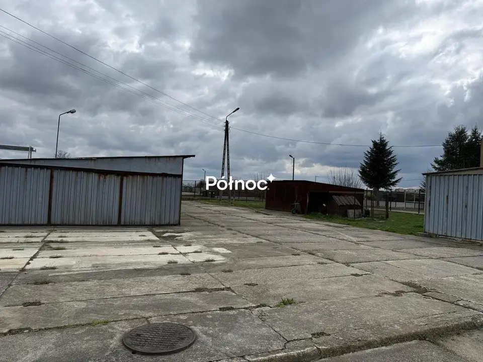 Zdjęcie 8