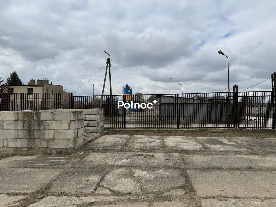 Zdjęcie 11