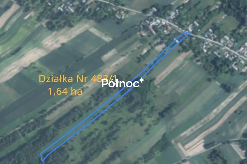 Zdjęcie 4