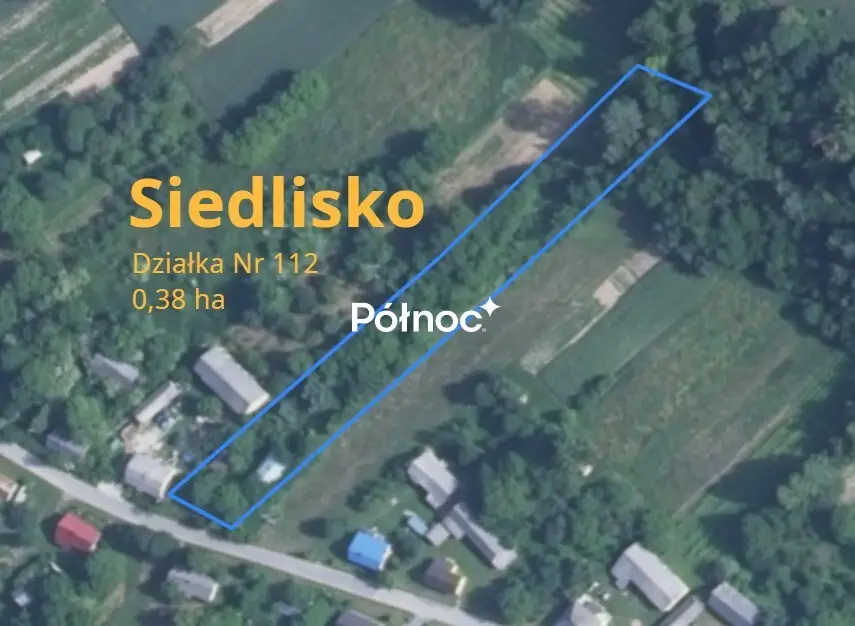 Zdjęcie 5