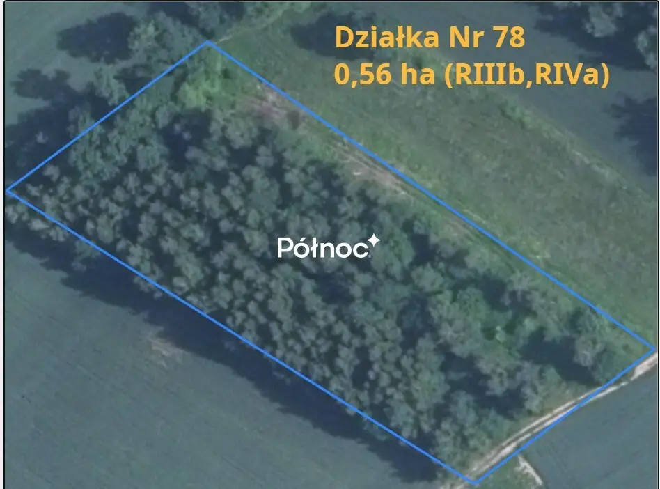 Zdjęcie 6