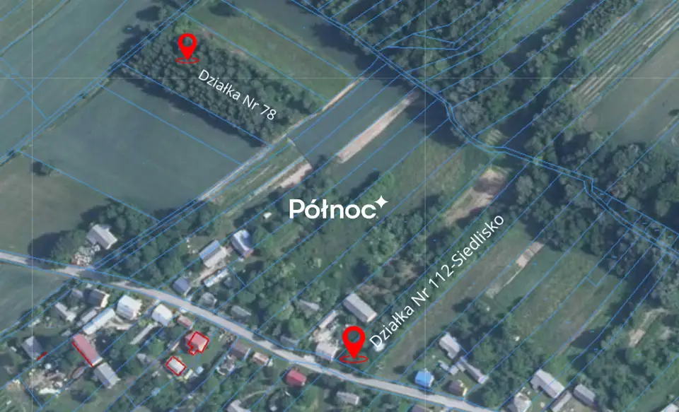 Zdjęcie 7
