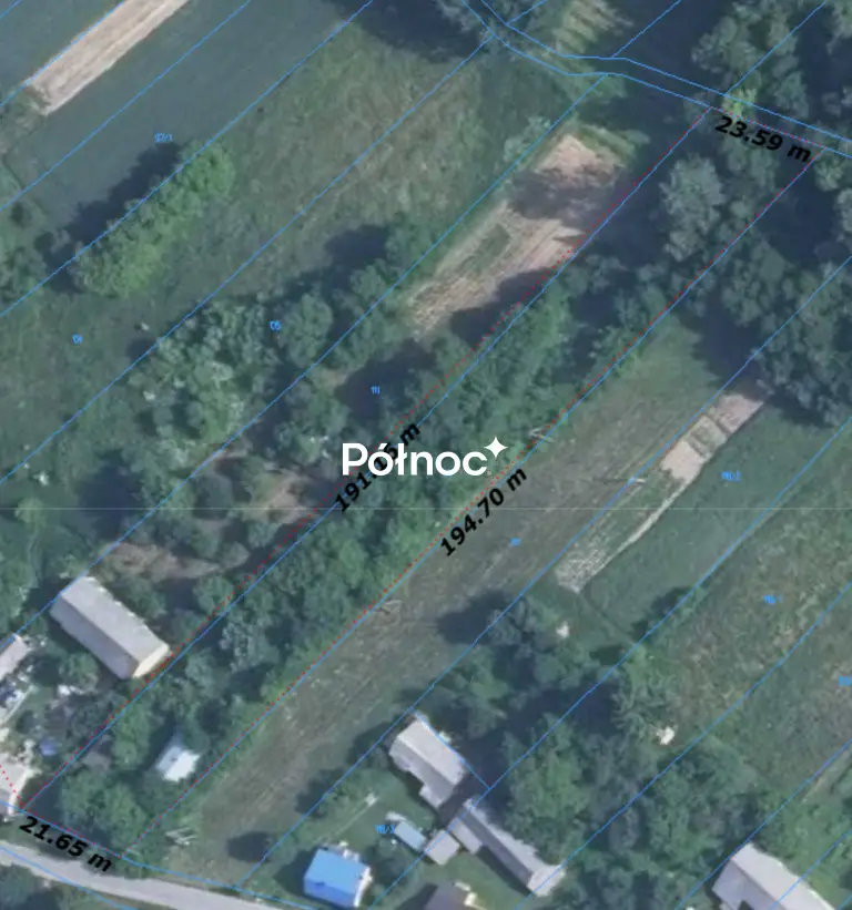 Zdjęcie 8