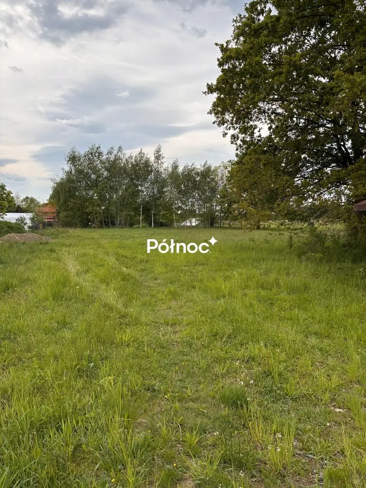 Zdjęcie 6