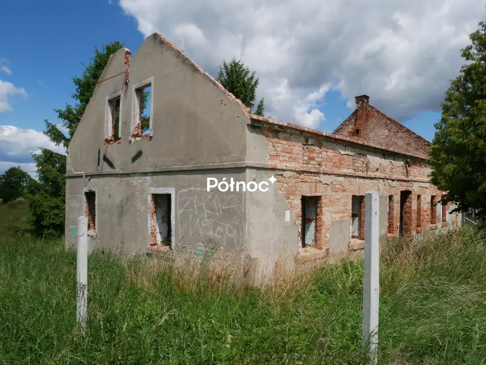 Zdjęcie 6