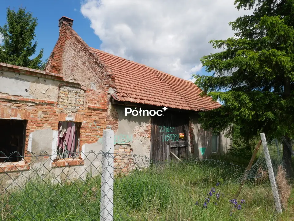 Zdjęcie 7