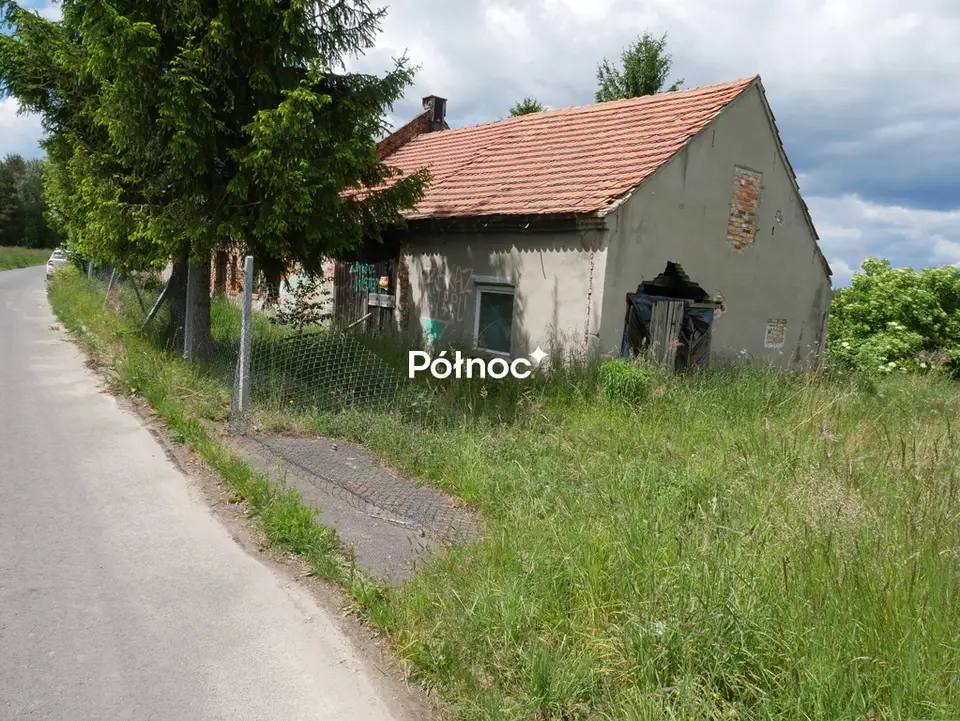 Zdjęcie 9