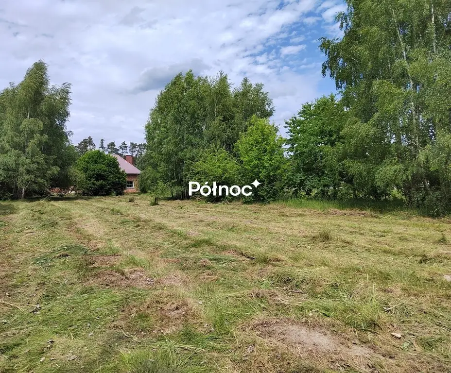Zdjęcie 6