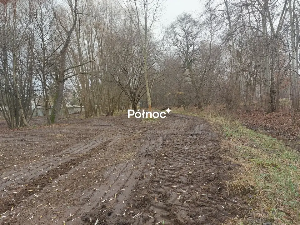 Zdjęcie 3