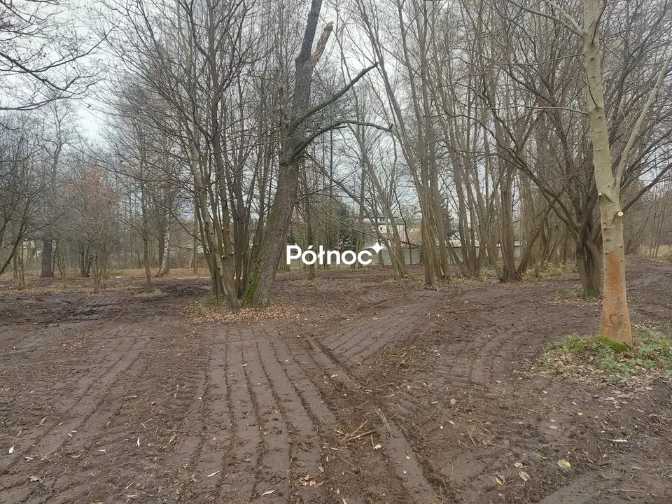 Zdjęcie 4