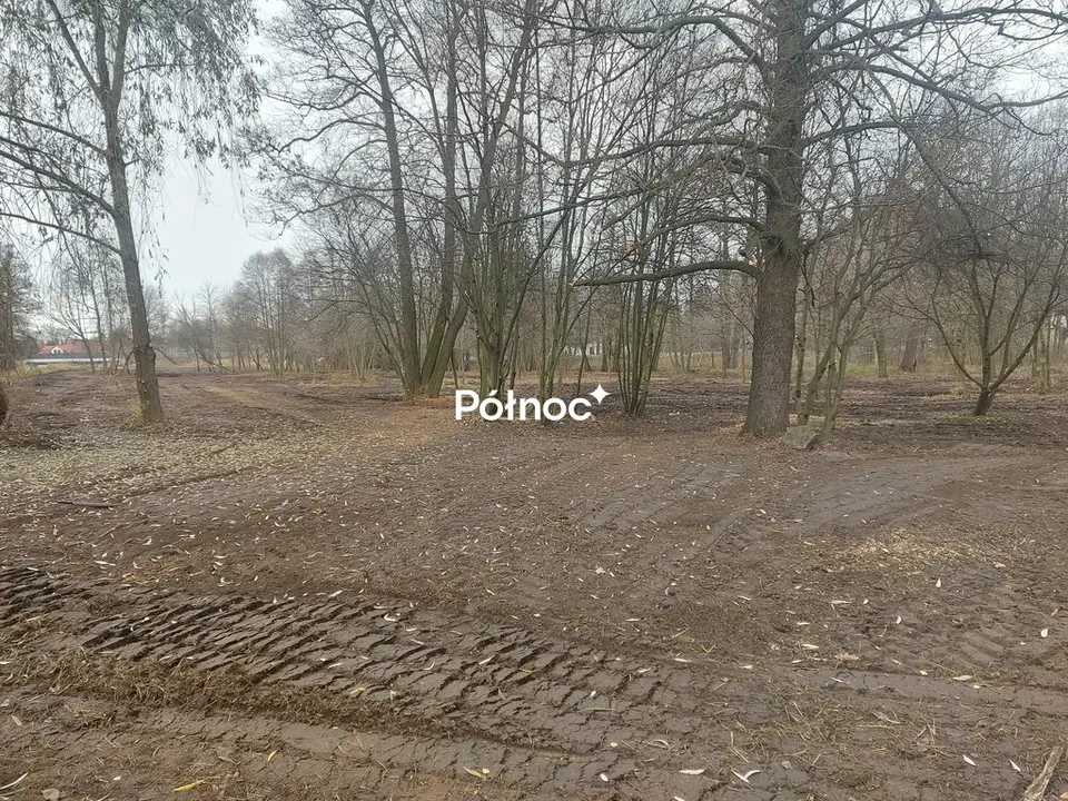 Zdjęcie 5