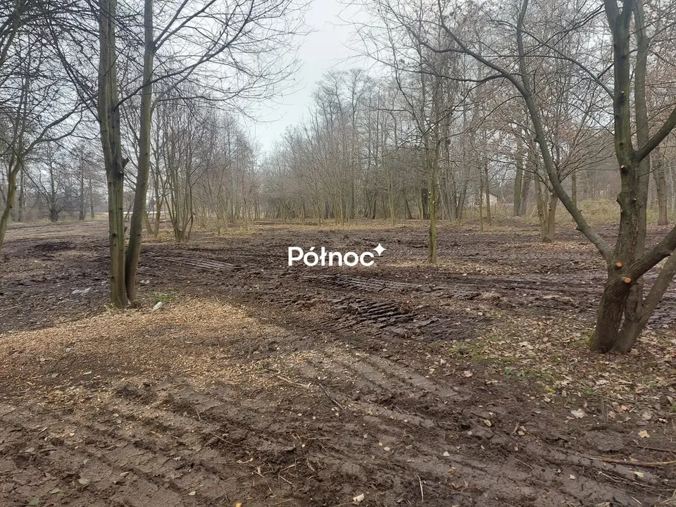 Zdjęcie 7