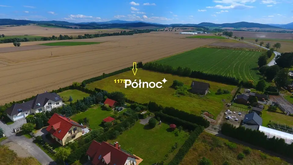 Zdjęcie 8