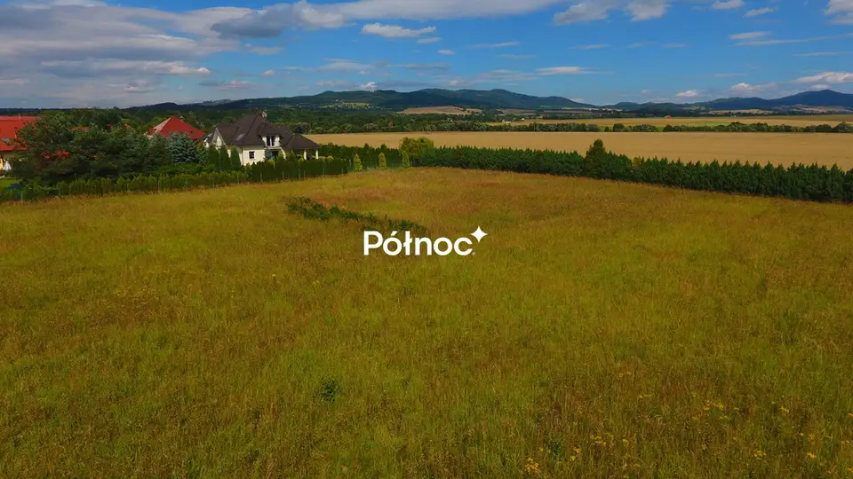 Zdjęcie 11