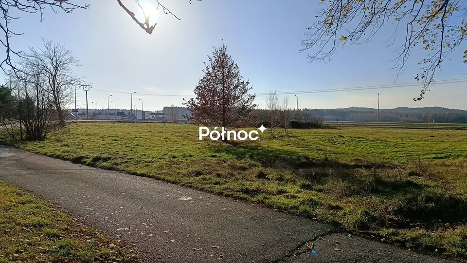 Zdjęcie 6