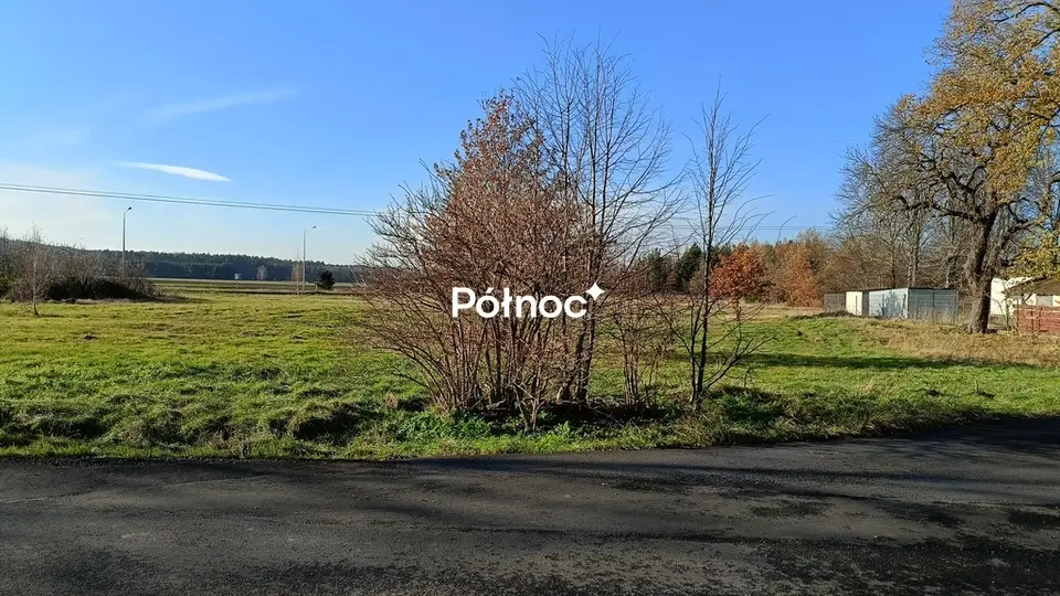 Zdjęcie 7