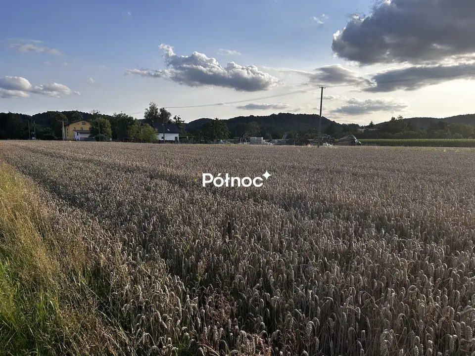 Zdjęcie 6