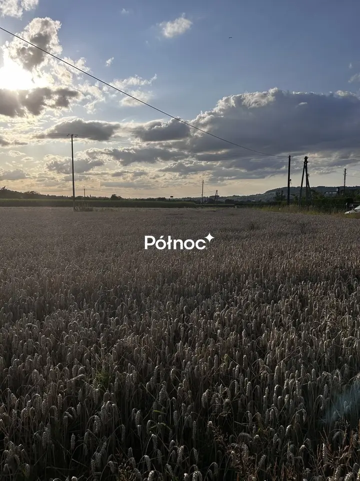 Zdjęcie 7