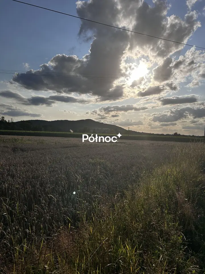 Zdjęcie 8