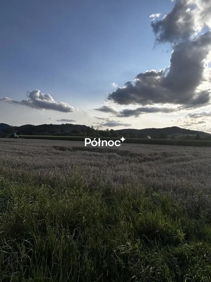 Zdjęcie 9