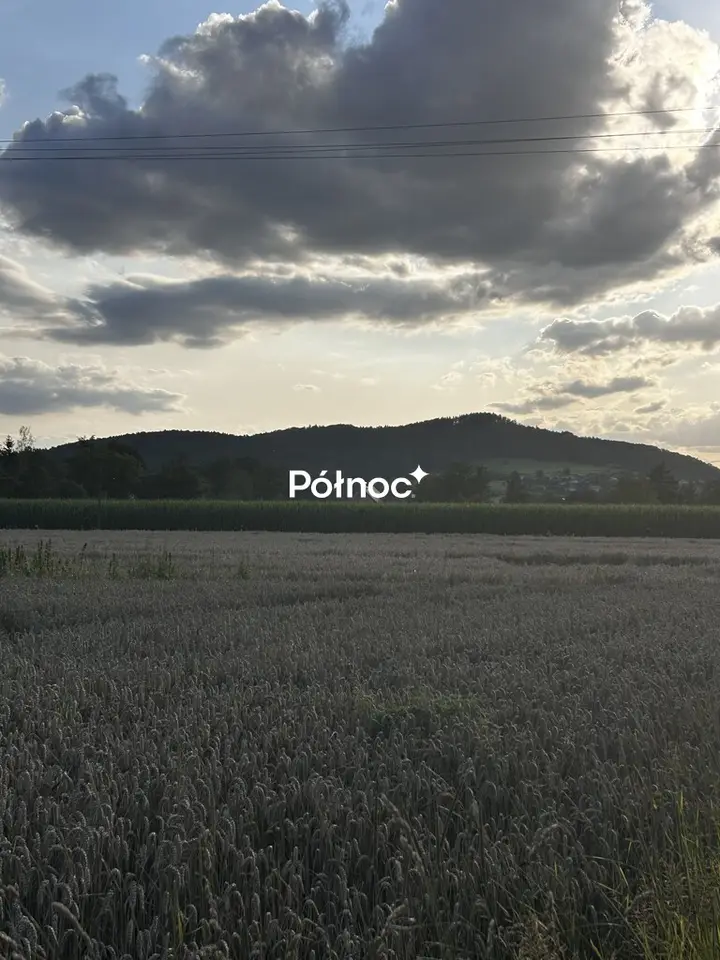 Zdjęcie 10